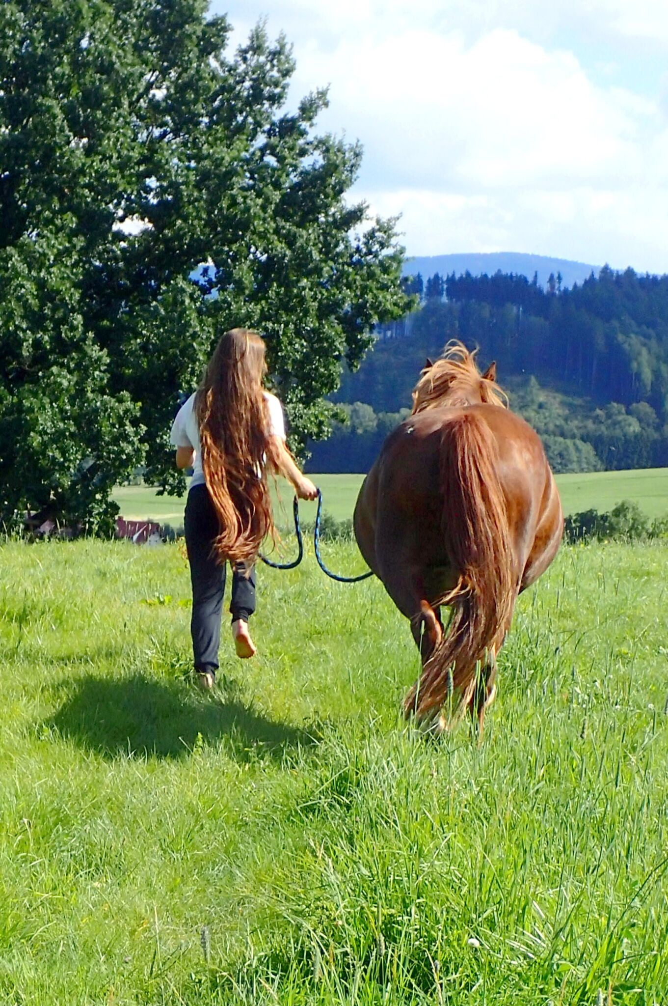 Koń i dziewczyna w biegu na spacerze